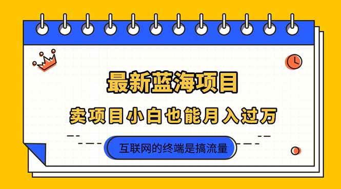 （14289期）2025年最新蓝海项目，卖项目小白也能月入过万凯哥轻创网-网创项目资源站-副业项目-创业项目-搞钱项目凯哥轻创网