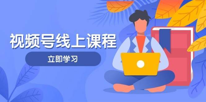 视频号实战课程，轻IP打造与运营技巧，掌握核心方法与策略凯哥轻创网-网创项目资源站-副业项目-创业项目-搞钱项目凯哥轻创网