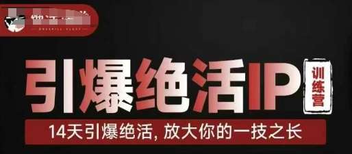 引爆绝活IP训练营，14天引爆绝活，放大你的一技之长凯哥轻创网-网创项目资源站-副业项目-创业项目-搞钱项目凯哥轻创网