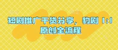 短剧推广干货分享，豹剧 1:1原创全流程凯哥轻创网-网创项目资源站-副业项目-创业项目-搞钱项目凯哥轻创网