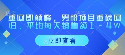 重回即颠峰，男粉项目重磅回归，平均每天销售额1-4W凯哥轻创网-网创项目资源站-副业项目-创业项目-搞钱项目凯哥轻创网