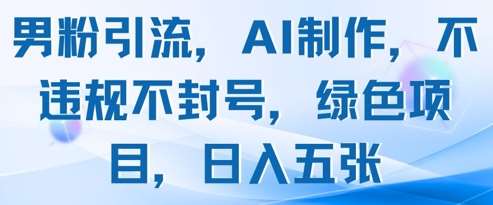 男粉引流，AI制作，不违规不封号，绿色项目，日入五张凯哥轻创网-网创项目资源站-副业项目-创业项目-搞钱项目凯哥轻创网