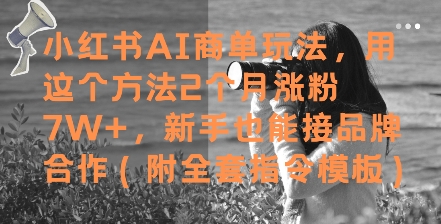 小红书AI商单玩法，用这个方法2个月涨粉7W+，新手也能接品牌合作(附全套指令模板)凯哥轻创网-网创项目资源站-副业项目-创业项目-搞钱项目凯哥轻创网