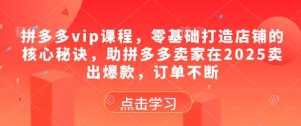 拼多多vip课程，零基础打造店铺的核心秘诀，助拼多多卖家在2025卖出爆款，订单不断凯哥轻创网-网创项目资源站-副业项目-创业项目-搞钱项目凯哥轻创网