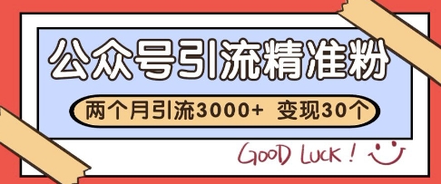 公众号精准粉引流玩法，2个月3000+精准粉，变现30个W【揭秘】凯哥轻创网-网创项目资源站-副业项目-创业项目-搞钱项目凯哥轻创网