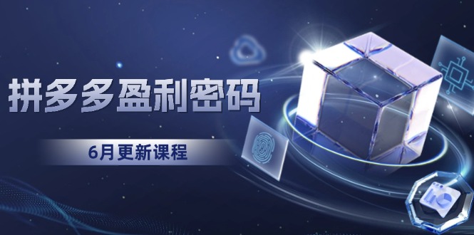 （15005期）拼多多盈利密码：从烧钱推广到印钞模型，底层逻辑重构指南（6月更新）凯哥轻创网-网创项目资源站-副业项目-创业项目-搞钱项目凯哥轻创网