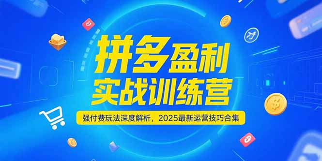 （15183期）拼多多盈利实战训练营，强付费玩法深度解析，2025运营技巧合集-更新6月凯哥轻创网-网创项目资源站-副业项目-创业项目-搞钱项目凯哥轻创网