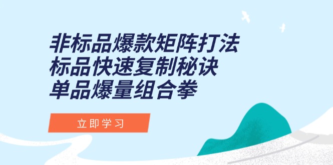 （15068期）非标品爆款矩阵打法，标品快速复制秘诀，单品爆量组合拳凯哥轻创网-网创项目资源站-副业项目-创业项目-搞钱项目凯哥轻创网