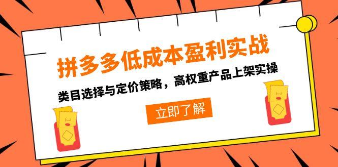 （15143期）拼多多低成本盈利实战，类目选择与定价策略，高权重产品上架实操凯哥轻创网-网创项目资源站-副业项目-创业项目-搞钱项目凯哥轻创网