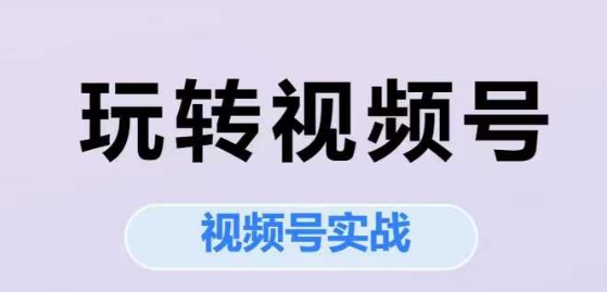 玩转视频号，视频号实战系列课凯哥轻创网-网创项目资源站-副业项目-创业项目-搞钱项目凯哥轻创网