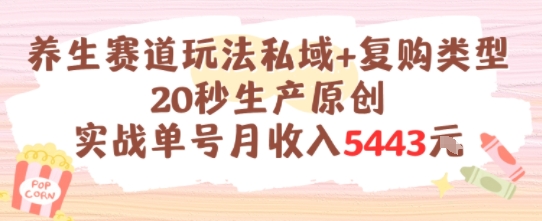 养生赛道玩法私域+复购类型，20秒生产原创实战单号月收入5k+凯哥轻创网-网创项目资源站-副业项目-创业项目-搞钱项目凯哥轻创网
