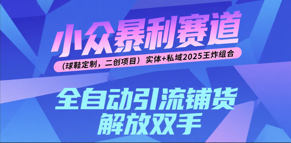 楠—小众暴利赛道（球鞋定制，二创项目）实体+私域2025王炸组合凯哥轻创网-网创项目资源站-副业项目-创业项目-搞钱项目凯哥轻创网