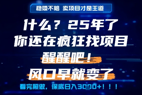 什么？25年你还在疯狂找项目做，醒醒吧，看完这些你全都懂了！【揭秘】凯哥轻创网-网创项目资源站-副业项目-创业项目-搞钱项目凯哥轻创网