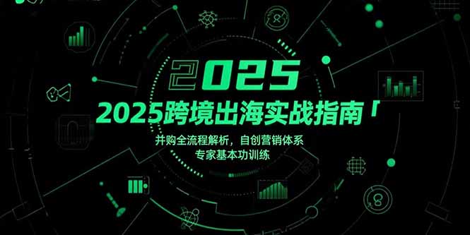 （15503期）2025跨境出海实战指南，并购全流程解析，自创营销体系，专家基本功训练凯哥轻创网-网创项目资源站-副业项目-创业项目-搞钱项目凯哥轻创网