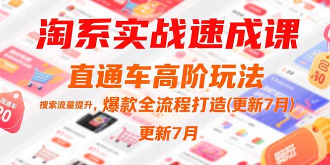 （15374期）淘系实战速成课，直通车高阶玩法，搜索流量提升，爆款全流程打造(更新7月)凯哥轻创网-网创项目资源站-副业项目-创业项目-搞钱项目凯哥轻创网