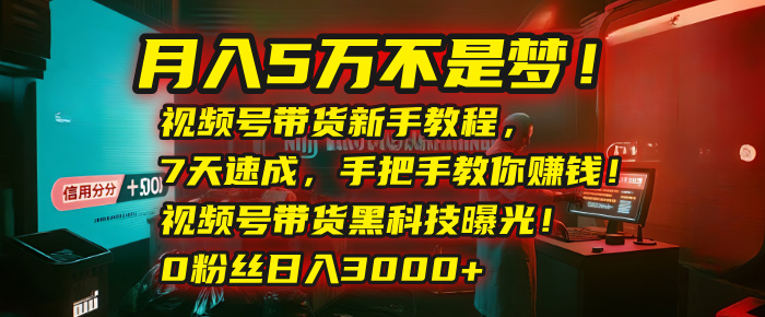 月入5万不是梦！视频号带货新手教程，7天速成，手把手教你赚钱！视频号带货黑科技曝光！0粉丝日入3000+凯哥轻创网-网创项目资源站-副业项目-创业项目-搞钱项目凯哥轻创网