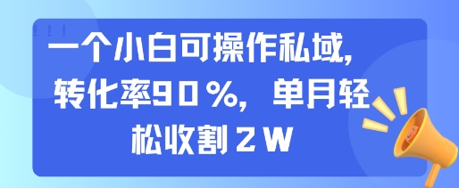 一个小白可操作私域，转化率90%，单月轻松收割2W凯哥轻创网-网创项目资源站-副业项目-创业项目-搞钱项目凯哥轻创网