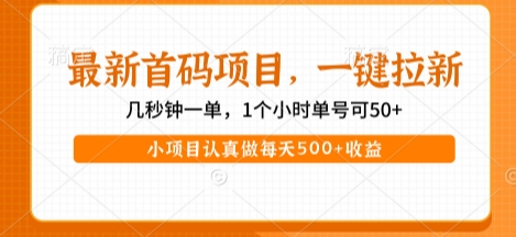 最新首码项目，操作最简单，收益高，一键拉新，1个小时单号可50+，小项目认真做每天5张+收益【揭秘】凯哥轻创网-网创项目资源站-副业项目-创业项目-搞钱项目凯哥轻创网