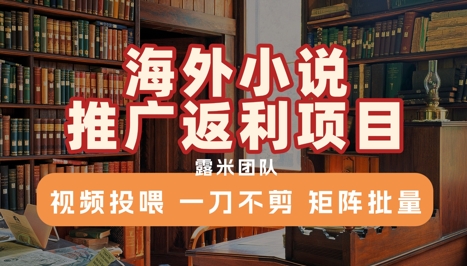 海外小说推广返利项目，视频投喂， 一刀不剪，矩阵批量凯哥轻创网-轻创网-创业网-网创项目资源站-副业项目-创业项目-搞钱项目凯哥轻创网