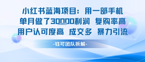 小红书蓝海项目，一部手机单月做了3W利润，小白也能月入过1W用户认可度高成交多凯哥轻创网-网创项目资源站-副业项目-创业项目-搞钱项目凯哥轻创网