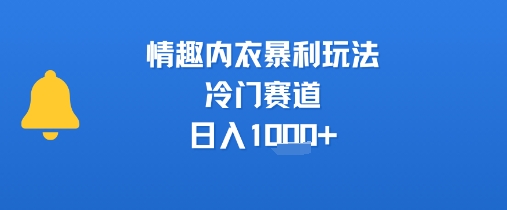 情趣内衣暴利玩法，冷门赛道，日入1k+凯哥轻创网-网创项目资源站-副业项目-创业项目-搞钱项目凯哥轻创网