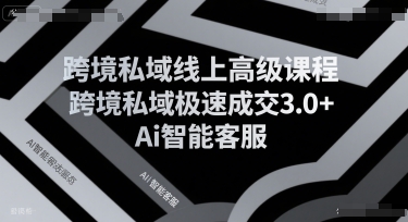 跨境私域线上高级课程，跨境私域极速成交3.0+Ai智能客服凯哥轻创网-网创项目资源站-副业项目-创业项目-搞钱项目凯哥轻创网