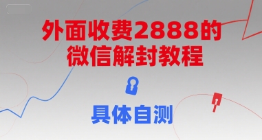 外面收费2888的微信解封教程，具体自测凯哥轻创网-网创项目资源站-副业项目-创业项目-搞钱项目凯哥轻创网