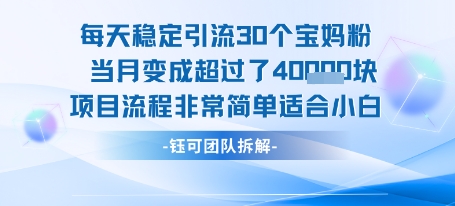 每天稳定引流30个人 当月变成超过了4个W项目流程非常简单适合小白凯哥轻创网-网创项目资源站-副业项目-创业项目-搞钱项目凯哥轻创网