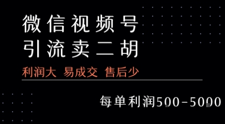 视频号卖二胡教程，利润大 易成交 售后少，一单利润5张+凯哥轻创网-网创项目资源站-副业项目-创业项目-搞钱项目凯哥轻创网