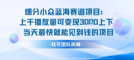 小众蓝海赛道项目：当天变现1k+适合新手操作 +适合长期玩凯哥轻创网-网创项目资源站-副业项目-创业项目-搞钱项目凯哥轻创网