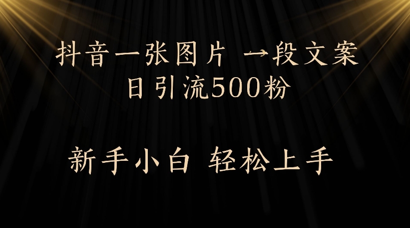 抖音一张图片，一段文案日引流500粉，新手小白 轻松上手凯哥轻创网-网创项目资源站-副业项目-创业项目-搞钱项目凯哥轻创网