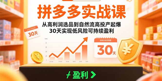 （15586期）拼多多实战课：从高利润选品到自然流高投产起爆 30天实现低风险可持续盈利凯哥轻创网-网创项目资源站-副业项目-创业项目-搞钱项目凯哥轻创网