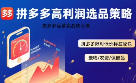 拼多多选品暴利技术实战课，拼多多高利润选品策略，拼多多限时低价标签秘诀凯哥轻创网-网创项目资源站-副业项目-创业项目-搞钱项目凯哥轻创网