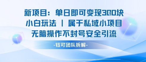 新项目单日即可变现3张的小白玩法无脑操作不封号安全引流凯哥轻创网-轻创网-创业网-网创项目资源站-副业项目-创业项目-搞钱项目凯哥轻创网