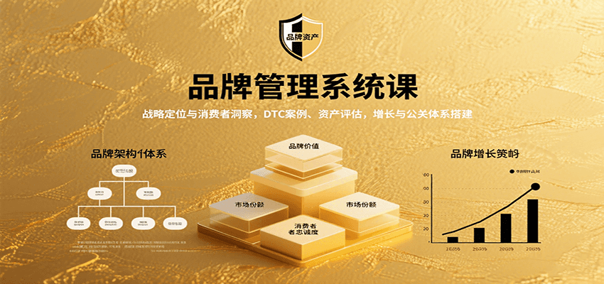 品牌管理系统课：战略定位与消费者洞察，DTC案例、资产评估，增长与公关体系搭建凯哥轻创网-轻创网-创业网-网创项目资源站-副业项目-创业项目-搞钱项目凯哥轻创网