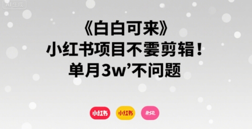 小白可来 小红书项目不需要剪辑 单月3w不是问题凯哥轻创网-网创项目资源站-副业项目-创业项目-搞钱项目凯哥轻创网