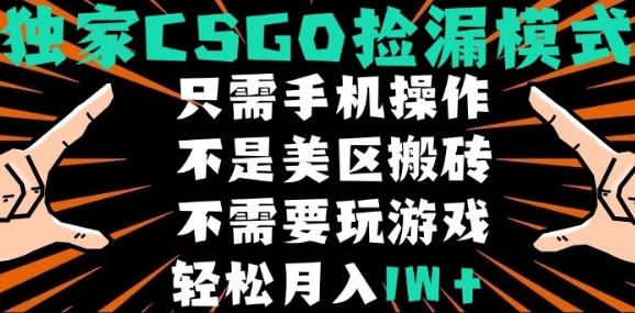 CSGO自动捡漏项目，最新独家玩法，不是美区搬砖，不需要了解和玩游戏，新手小白轻松月入1W+【揭秘】凯哥轻创网-轻创网-创业网-网创项目资源站-副业项目-创业项目-搞钱项目凯哥轻创网