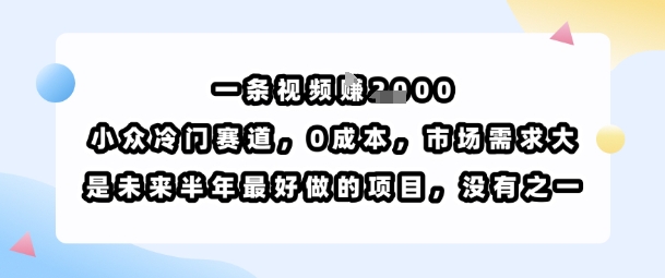 一条视频挣1k，小众冷门赛道，0成本，市场需求大，是未来半年最好做的项目，没有之一凯哥轻创网-轻创网-创业网-网创项目资源站-副业项目-创业项目-搞钱项目凯哥轻创网