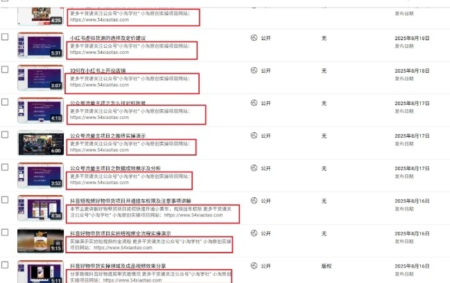 图片[2]凯哥轻创网-轻创网-创业网-网创项目资源站-副业项目-创业项目-搞钱项目2025油管引流术，分享我是如何通过油管做引流的凯哥轻创网-轻创网-创业网-网创项目资源站-副业项目-创业项目-搞钱项目凯哥轻创网
