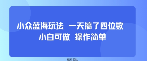 小众蓝海玩法 一天搞了四位数 小白可做 操作简单凯哥轻创网-轻创网-创业网-网创项目资源站-副业项目-创业项目-搞钱项目凯哥轻创网