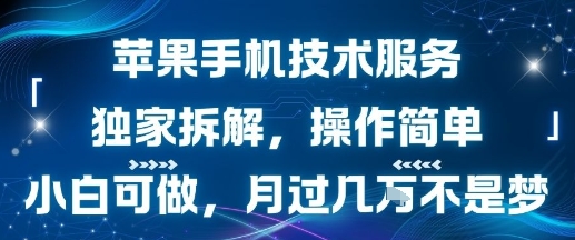 苹果手机技术服务，独家拆解，操作简单，小白可做，月过1W不是梦凯哥轻创网-网创项目资源站-副业项目-创业项目-搞钱项目凯哥轻创网