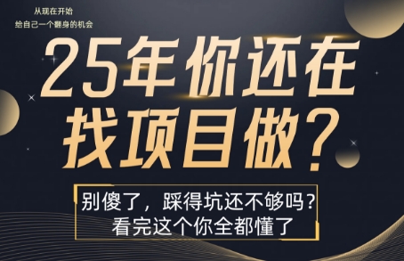 25年，你还在疯狂的找项目吗？别傻了，看完这个你都懂了【揭秘】凯哥轻创网-网创项目资源站-副业项目-创业项目-搞钱项目凯哥轻创网