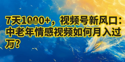 7天收益1k+，视频号新风口：中老年情感视频如何月入过W?凯哥轻创网-轻创网-创业网-网创项目资源站-副业项目-创业项目-搞钱项目凯哥轻创网