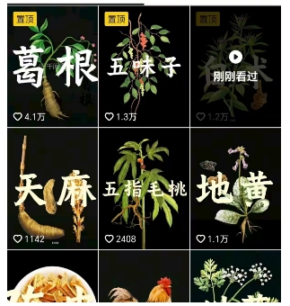 图片[2]凯哥轻创网-轻创网-创业网-网创项目资源站-副业项目-创业项目-搞钱项目抖音中草药赛道，用AI做中草药故事视频，45条作品涨粉13W，橱窗带货猛猛出单凯哥轻创网-轻创网-创业网-网创项目资源站-副业项目-创业项目-搞钱项目凯哥轻创网