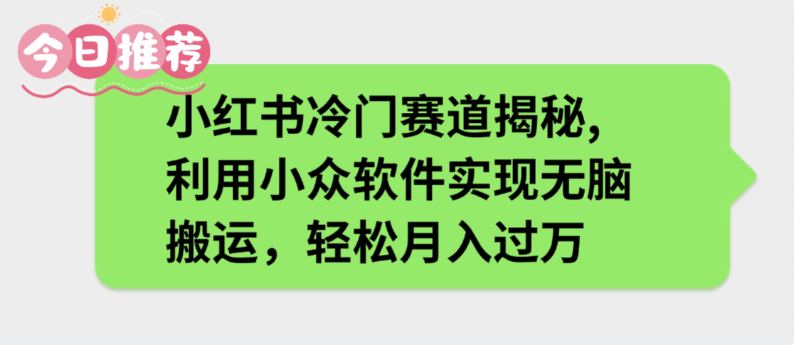 小红书冷门赛道揭秘,利用小众软件实现无脑搬运，轻松月入过万凯哥轻创网-轻创网-创业网-网创项目资源站-副业项目-创业项目-搞钱项目凯哥轻创网