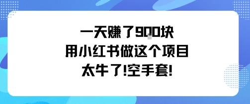 一天挣了9张用小红书做这个项目太牛了，空手套凯哥轻创网-轻创网-创业网-网创项目资源站-副业项目-创业项目-搞钱项目凯哥轻创网