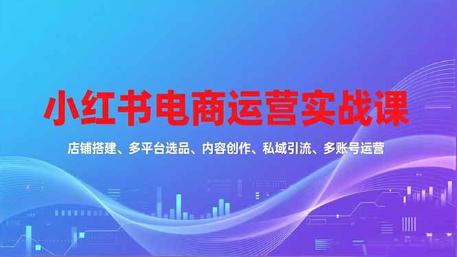 （16695期）小红书电商运营实战课，店铺搭建、多平台选品、内容创作、私域引流、多账号运营等玩法凯哥轻创网-轻创网-创业网-网创项目资源站-副业项目-创业项目-搞钱项目凯哥轻创网