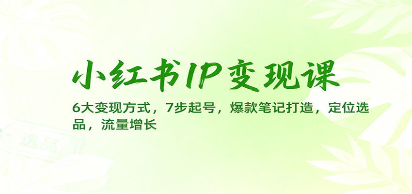 小红书IP变现课：6大变现方式，7步起号，爆款笔记打造，定位选品，流量增长凯哥轻创网-轻创网-创业网-网创项目资源站-副业项目-创业项目-搞钱项目凯哥轻创网