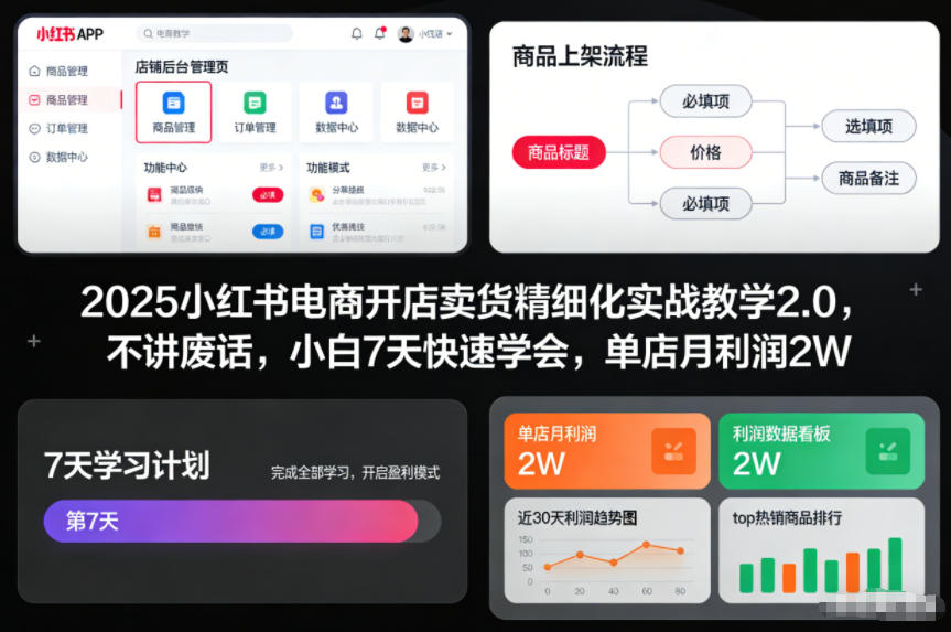 2025小红书电商开店卖货精细化实战教学2.0，不讲废话，小白7天快速学会，单店月利润2W凯哥轻创网-轻创网-创业网-网创项目资源站-副业项目-创业项目-搞钱项目凯哥轻创网