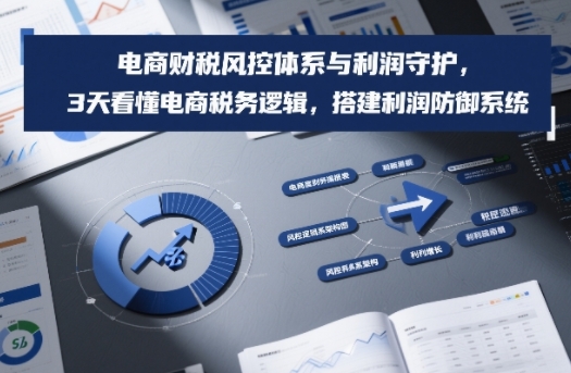 电商财税风控体系与利润守护，3天看懂电商税务逻辑，搭建利润防御系统凯哥轻创网-轻创网-创业网-网创项目资源站-副业项目-创业项目-搞钱项目凯哥轻创网